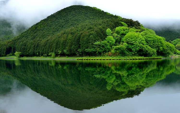 деревья, зелень, отражение, пейзаж, гора, япония, холм, trees, greens, reflection, landscape, mountain, japan, hill