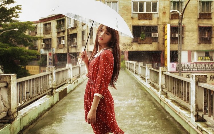 девушка, брюнетка, мост, дождь, зонт, азиатка, girl, brunette, bridge, rain, umbrella, asian