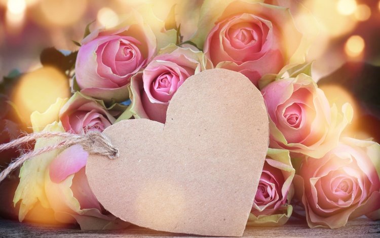 цветы, valentine`s day, бутоны, розы, сердце, любовь, романтика, розовые, день святого валентина, flowers, buds, roses, heart, love, romance, pink, valentine's day