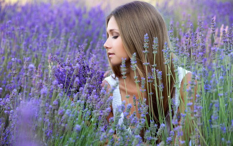 цветы, девушка, поле, лаванда, профиль, волосы, flowers, girl, field, lavender, profile, hair