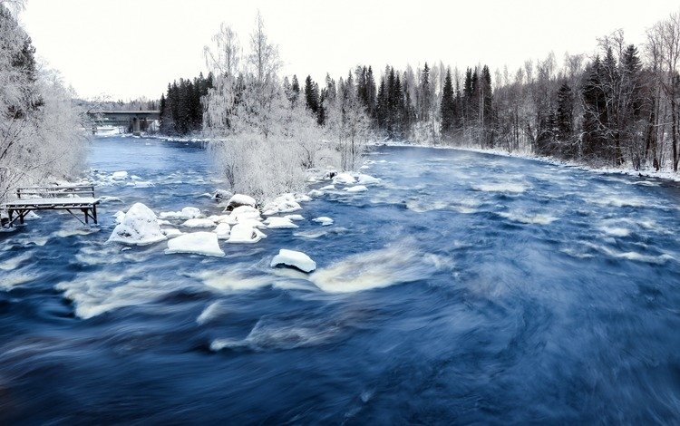 деревья, река, снег, зима, мост, лёд, течение, trees, river, snow, winter, bridge, ice, for