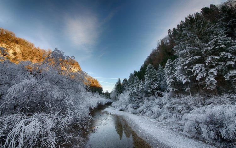 деревья, река, снег, зима, пейзаж, утро, trees, river, snow, winter, landscape, morning