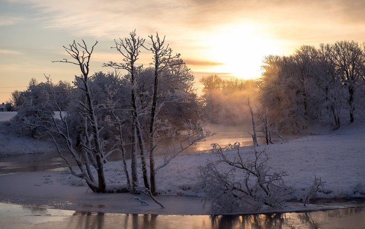 деревья, река, снег, зима, утро, trees, river, snow, winter, morning