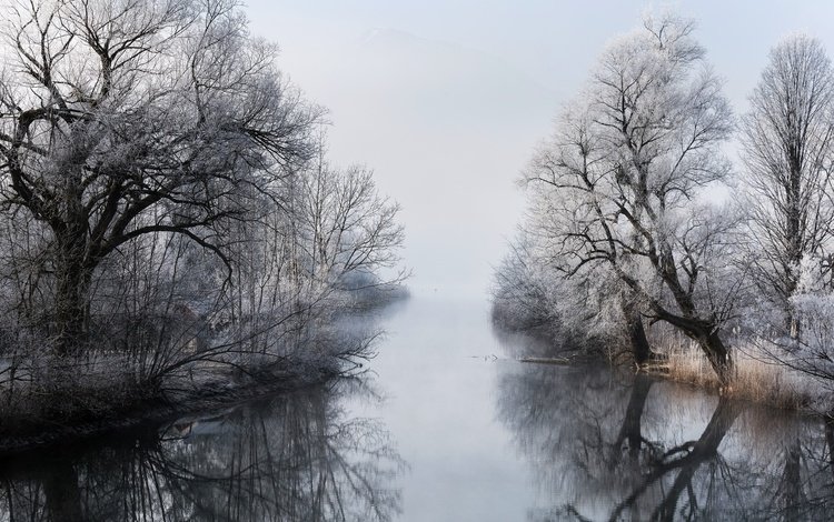 деревья, река, зима, туман, ветки, trees, river, winter, fog, branches