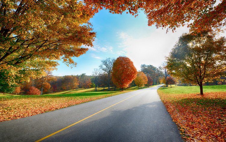 небо, дорога, деревья, листья, пейзаж, осень, деревь, the sky, road, trees, leaves, landscape, autumn