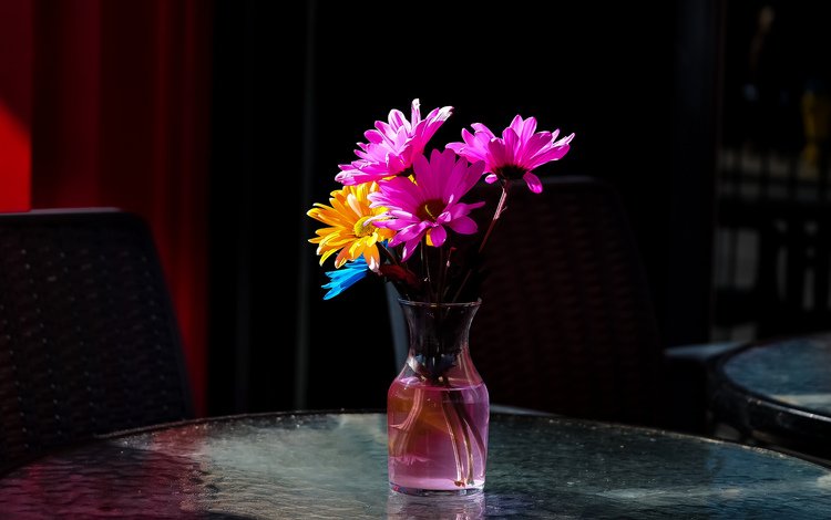 фон, стол, ромашки, ваза, цветные, background, table, chamomile, vase, colored