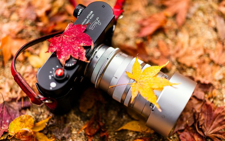 листья, осень, фотоаппарат, камера, объектив, очень, leaves, autumn, the camera, camera, lens, very