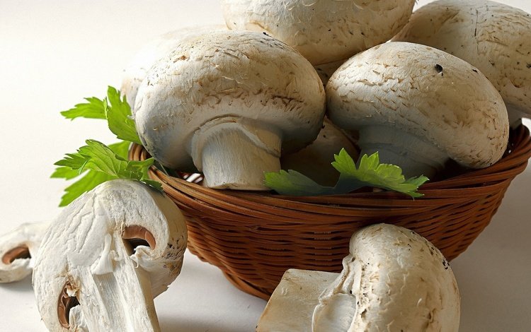 зелень, грибы, белые, лукошко, шампиньоны, greens, mushrooms, white, basket