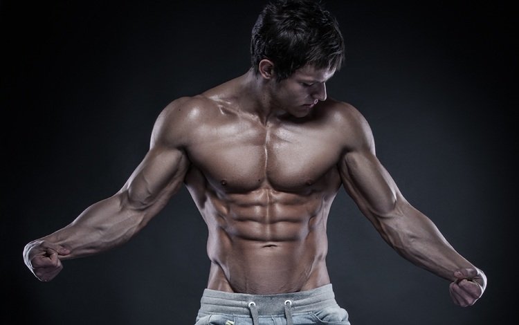 мужчина, фигура, мускулы, мышцы, male, figure, muscles, muscle