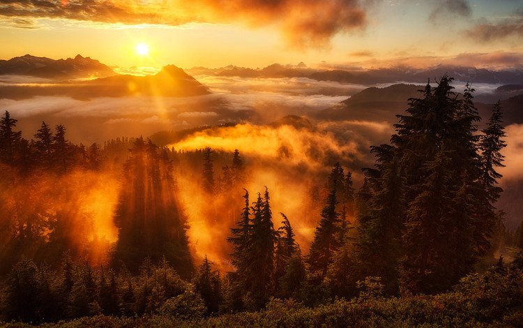 небо, деревья, горы, солнце, лес, туман, горизонт, the sky, trees, mountains, the sun, forest, fog, horizon