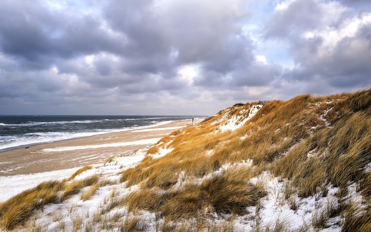 небо, трава, зима, море, пляж, дюны, the sky, grass, winter, sea, beach, dunes