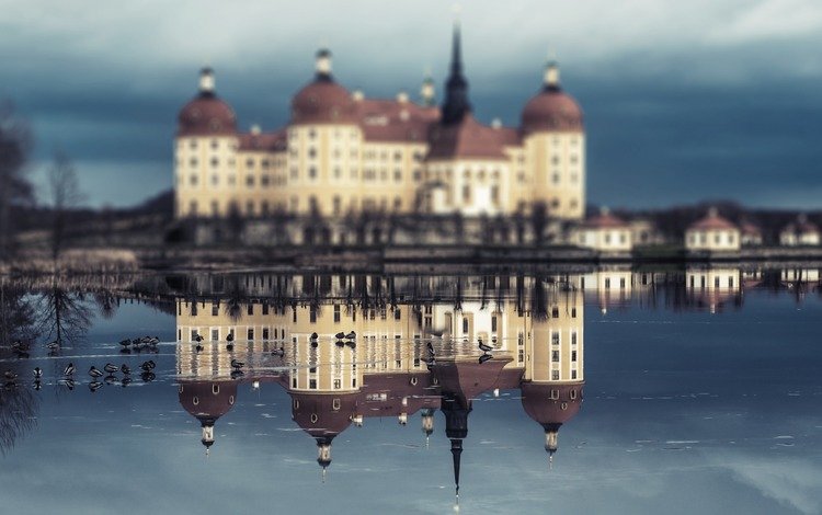 отражение, замок, архитектура, германия, морицбург, охотничий замок, reflection, castle, architecture, germany, moritzburg, hunting castle