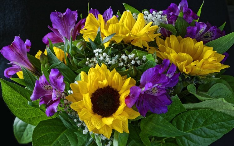 цветы, подсолнух, букет, альстромерия, flowers, sunflower, bouquet, alstroemeria