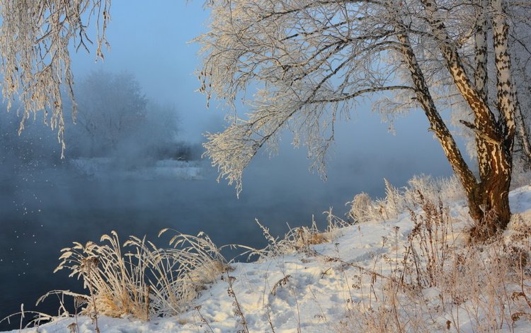 река, снег, зима, пейзаж, туман, иней, береза, river, snow, winter, landscape, fog, frost, birch