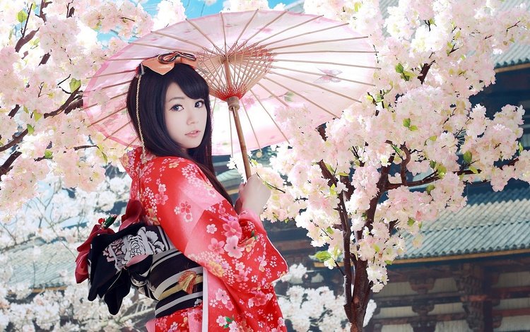 девушка, взгляд, волосы, сакура, зонтик, кимоно, азиатка, гейша, girl, look, hair, sakura, umbrella, kimono, asian, geisha