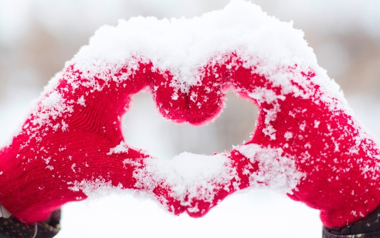 снег, зима, сердце, любовь, руки, snow, winter, heart, love, hands