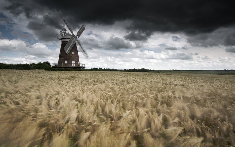 небо, тучи, поле, мельница, колосья, пшеница, ветряная мельница, the sky, clouds, field, mill, ears, wheat, windmill