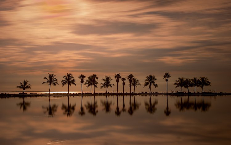 вечер, закат, отражение, пальмы, океан, гладь, флорида, майами, the evening, sunset, reflection, palm trees, the ocean, surface, fl, miami
