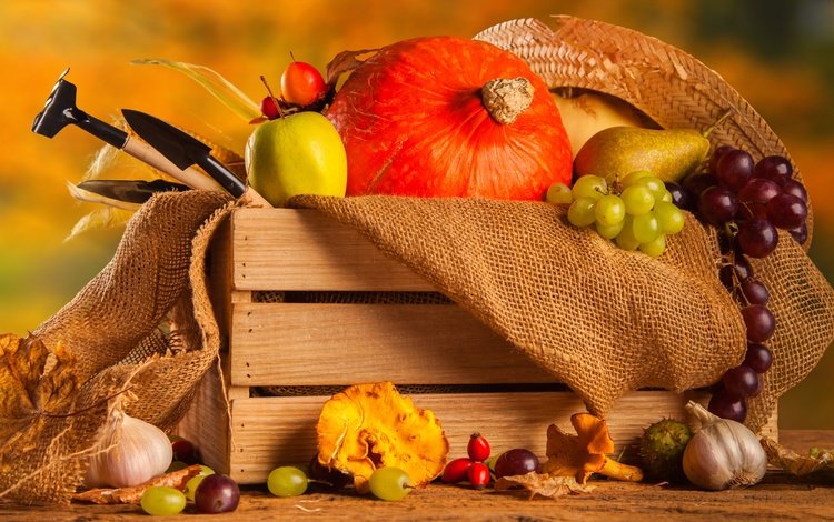 виноград, груша, фрукты, чеснок, осень, мешковина, яблоко, осенний урожай, урожай, овощи, тыква, ящик, grapes, pear, fruit, garlic, autumn, burlap, apple, autumn harvest, harvest, vegetables, pumpkin, box