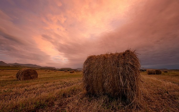закат, пейзаж, поле, сено, тюки, рулоны, sunset, landscape, field, hay, bales, rolls