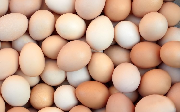 яйца, яйцо, яйцо куриное, eggs, egg, chicken egg