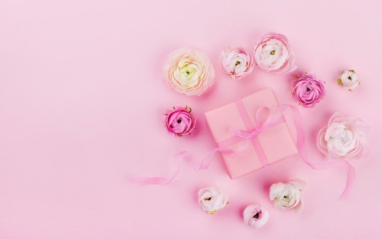 цветы, розовый, лента, подарок, свадьба, праздник, декор, flowers, pink, tape, gift, wedding, holiday, decor