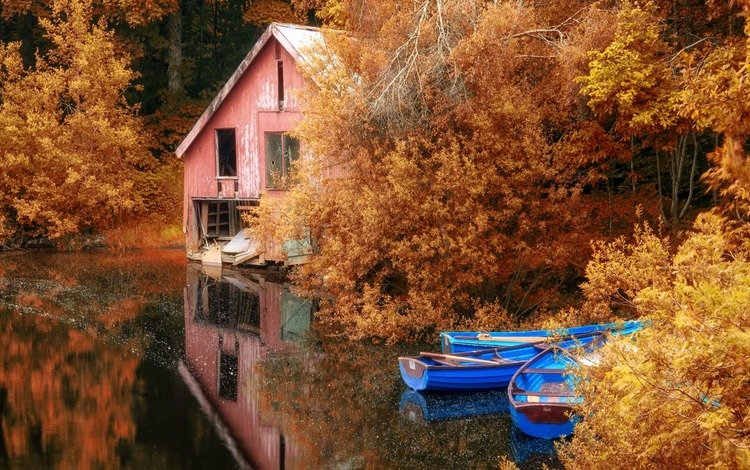 деревья, озеро, листья, отражение, осень, лодки, дом, trees, lake, leaves, reflection, autumn, boats, house