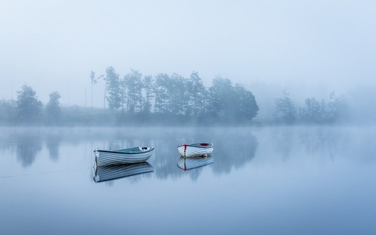 деревья, озеро, утро, туман, лодки, тишина, trees, lake, morning, fog, boats, silence