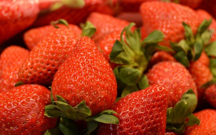 клубника, ягоды, много, вкусно, strawberry, berries, a lot, delicious