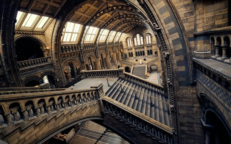 лестница, лондон, зал, англия, музей естествознания, ladder, london, hall, england, museum of natural history