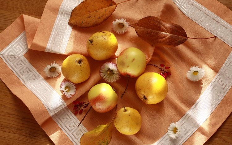 цветы, листья, фрукты, яблоки, осень, салфетка, натюрморт, груши, flowers, leaves, fruit, apples, autumn, napkin, still life, pear