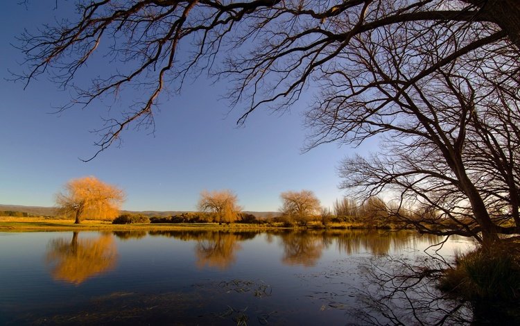 небо, деревья, река, отражение, ветки, осень, the sky, trees, river, reflection, branches, autumn