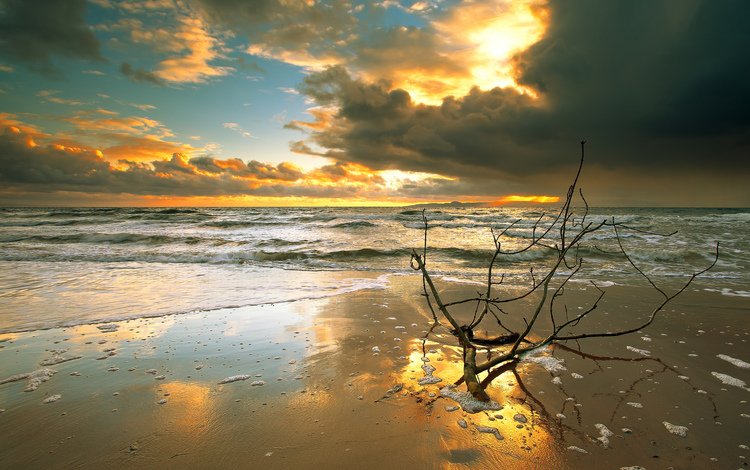 небо, ветка, закат, отражение, море, пена, the sky, branch, sunset, reflection, sea, foam