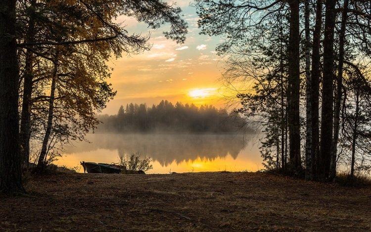 озеро, лес, утро, туман, рассвет, lake, forest, morning, fog, dawn