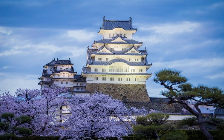вечер, замок, япония, весна, химэдзи, the evening, castle, japan, spring, himeji