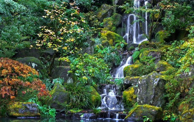 деревья, вода, камни, зелень, водопад, орегон, японский сад, trees, water, stones, greens, waterfall, oregon, japanese garden