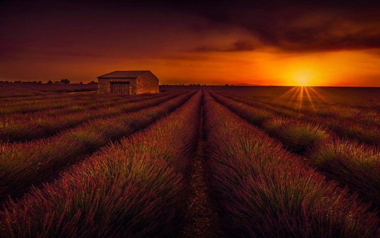закат, поле, лаванда, горизонт, домик, sunset, field, lavender, horizon, house