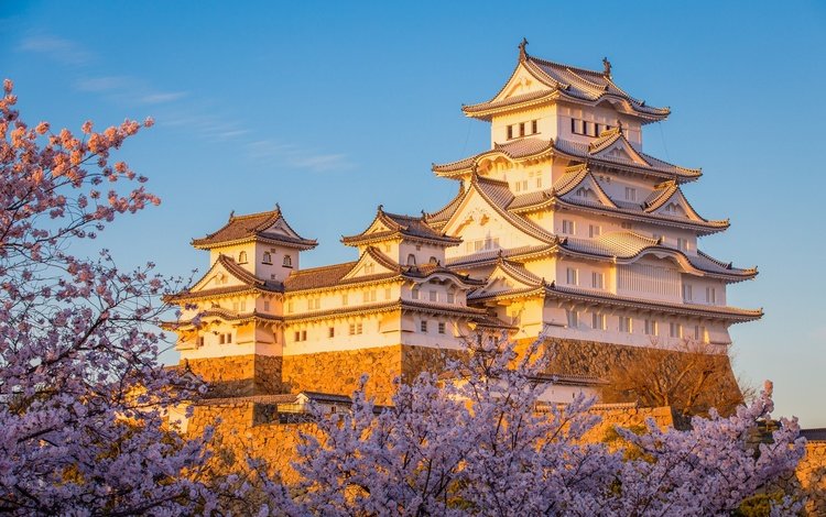 замок, япония, сакура, химэдзи, castle, japan, sakura, himeji