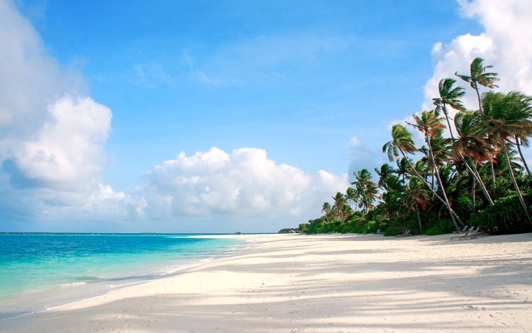 море, пляж, пальмы, отдых, остров, тропики, мальдивы, sea, beach, palm trees, stay, island, tropics, the maldives