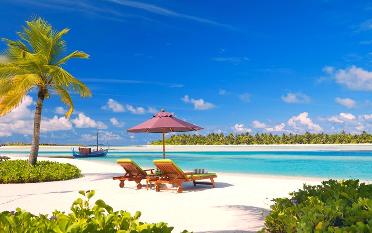 море, пляж, пальмы, отдых, тропики, мальдивы, sea, beach, palm trees, stay, tropics, the maldives