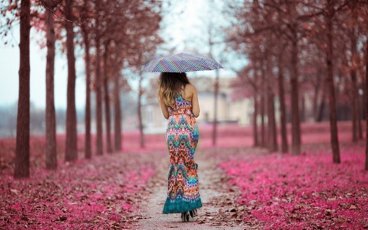 девушка, платье, осень, дождь, зонт, аллея, спиной, опавшие листья, girl, dress, autumn, rain, umbrella, alley, back, fallen leaves