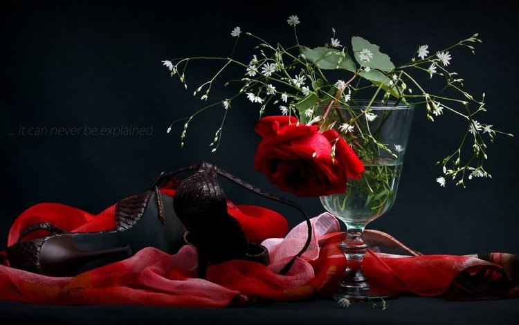 цветок, роза, бокал, ткань, черный фон, каблуки, туфли, шарф, flower, rose, glass, fabric, black background, heels, shoes, scarf