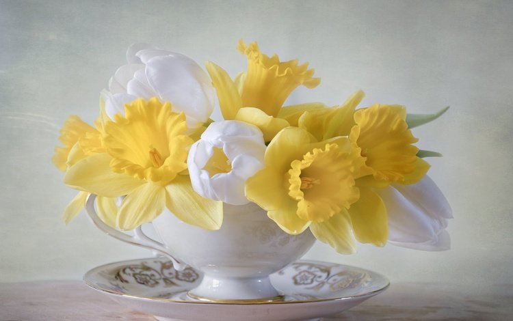 цветы, блюдце, букет, тюльпаны, чашка, нарциссы, flowers, saucer, bouquet, tulips, cup, daffodils