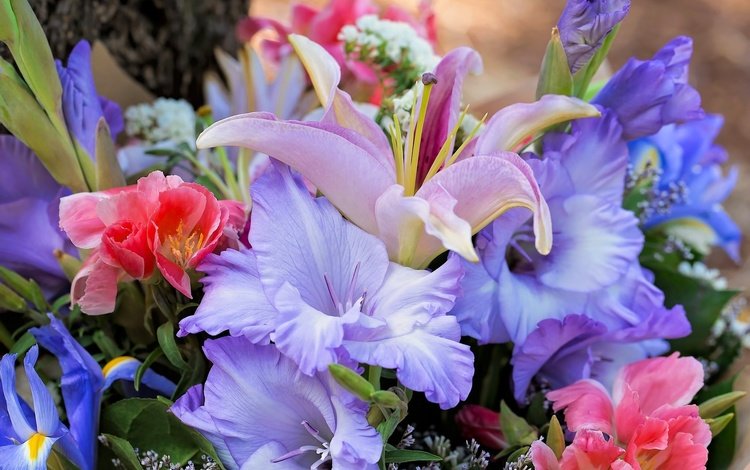 цветы, букет, лилии, ирисы, гладиолус, flowers, bouquet, lily, irises, gladiolus
