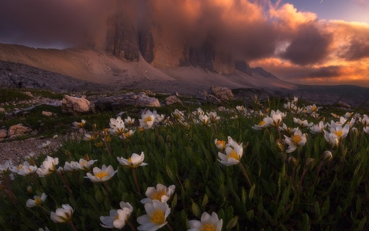 свет, цветы, облака, горы, природа, весна, альпы, light, flowers, clouds, mountains, nature, spring, alps