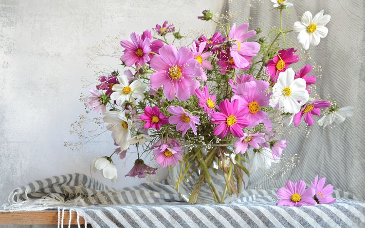 цветы, лето, букет, ваза, шарф, космея, flowers, summer, bouquet, vase, scarf, kosmeya