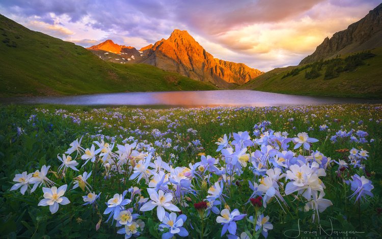цветы, озеро, горы, природа, пейзаж, flowers, lake, mountains, nature, landscape