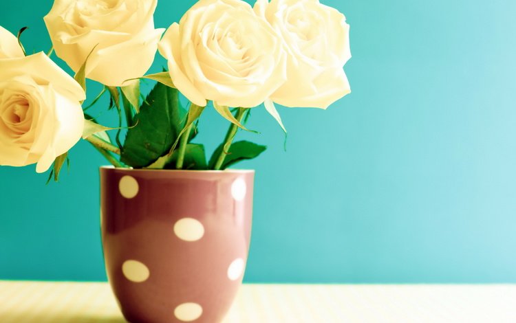 цветы, розы, лепестки, кружка, букет, чашка, flowers, roses, petals, mug, bouquet, cup