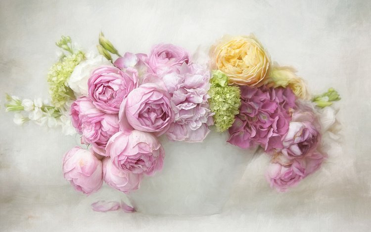 цветы, розы, рендеринг, букет, гортензия, flowers, roses, rendering, bouquet, hydrangea