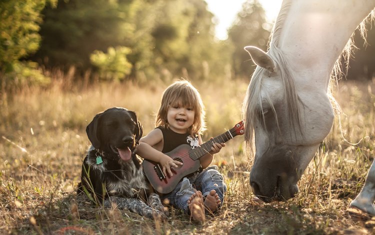 лошадь, природа, гитара, собака, ребенок, мальчик, конь, друзья, agnieszka gulczynska, horse, nature, guitar, dog, child, boy, friends